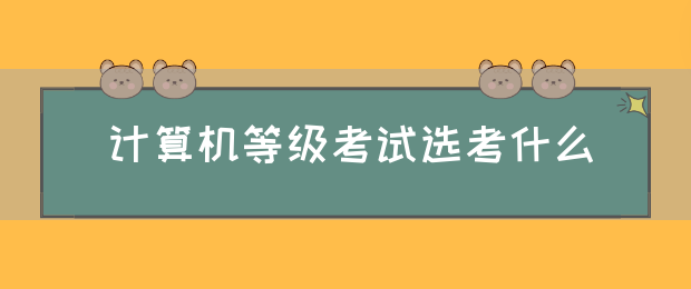 计算机等级考试选考什么