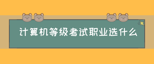 计算机等级考试职业选什么